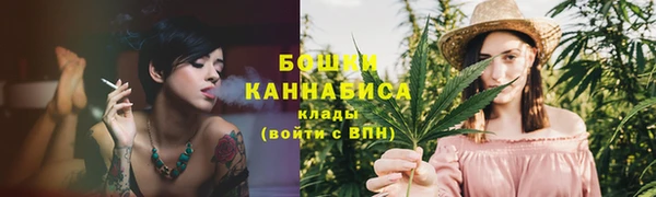 мдпв Нея