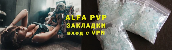 PSILOCYBIN Заполярный