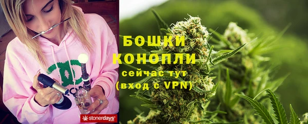 мдпв Нея