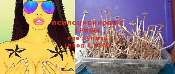 бошки Нефтекумск